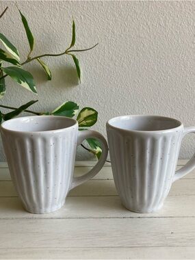 West Elm Set of 2 Ribbed Speckled Tea Coffee Mugs White Beige Neutral